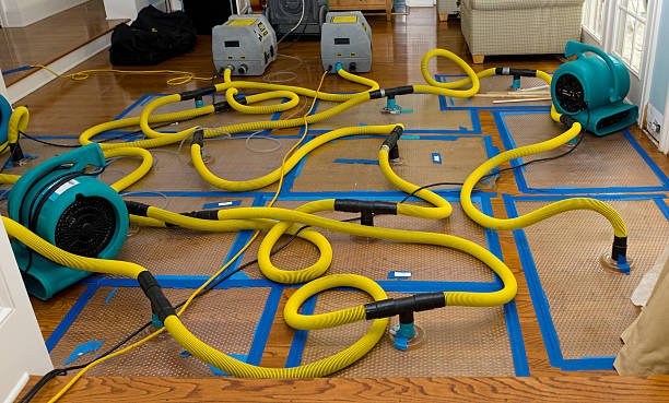 Professional Storm Water Damage Restoration technician working in Sauk Centre, MN